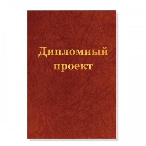 Папка "Дипломный проект"