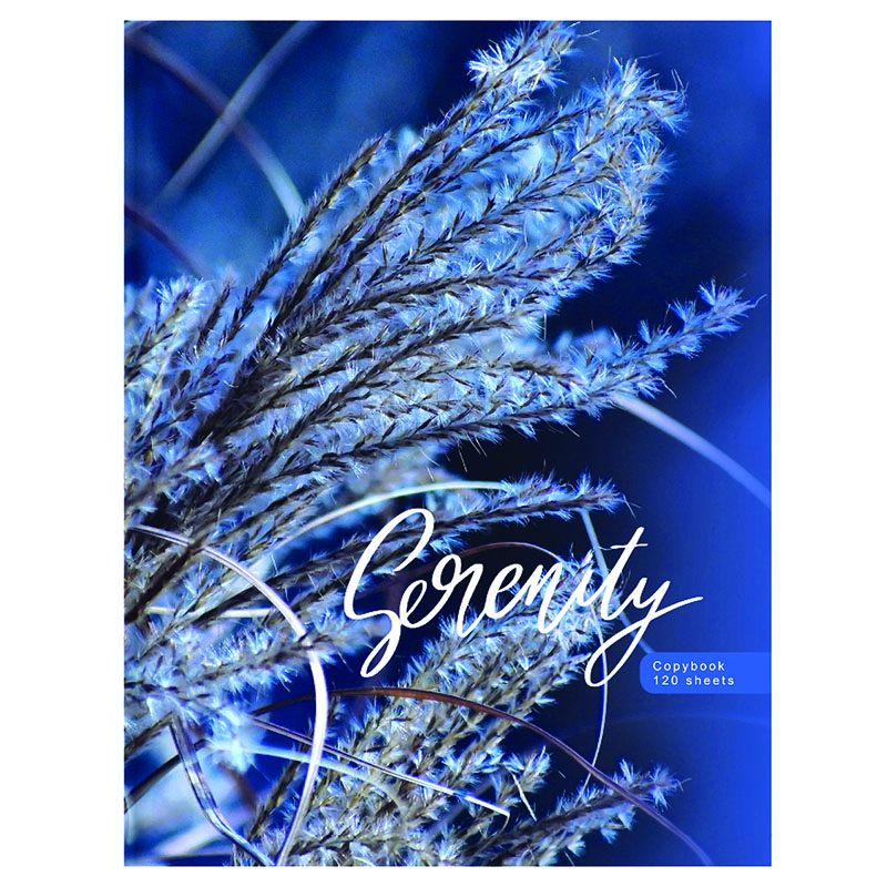 Тетрадь 120л. на кольцах, "Blue serenity"